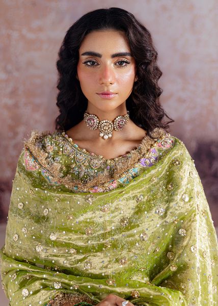 Picture of Shadan 